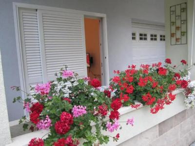 Residence Kaštelet - 121