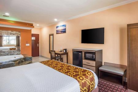 Rodeway Inn & Suites - - 41