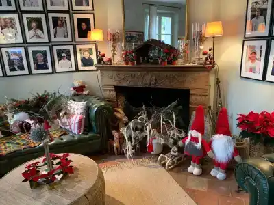 Villa Escudier Appart-hôtel - 9