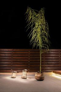 Sea View & Apartment - 21