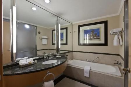 Hilton Buenos Aires - 56