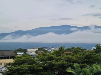 Gord Chiangmai - Sha Extra Plus - 86