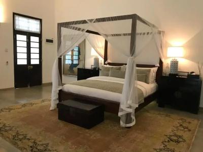 The Postcard Galle - 51