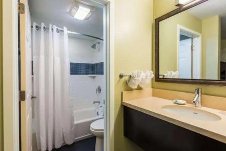 Sonesta Es Suites Lake Buena Vista - 95