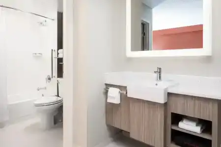 SpringHill Suites by Marriott Dallas Downtown / West End - 19