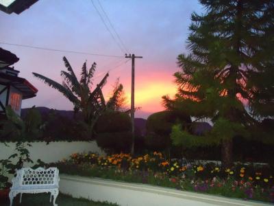 Cocoon Hills - 8
