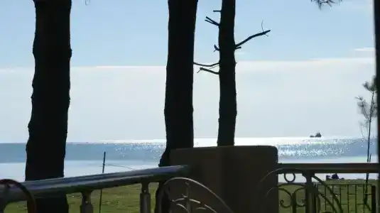 Mana-Mana - 1