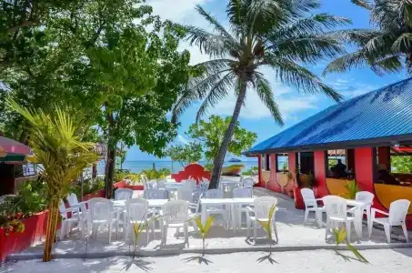 Paradise Retreat - 0