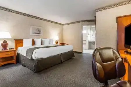 Quality Inn & Suites - 36