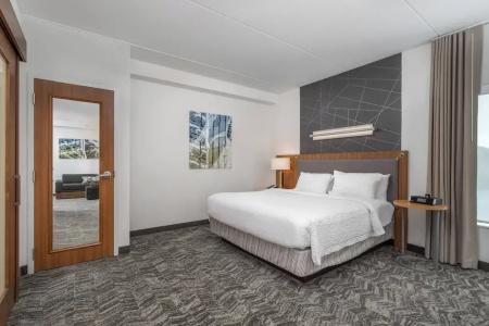 SpringHill Suites by Marriott Downtown/Cameron Harbor - 49