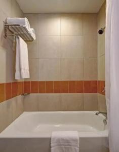 Giraffe by Library Hotel Collection - 90