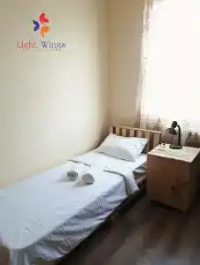 Light Wings - 3