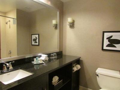 Wyndham San Antonio River Walk - 10