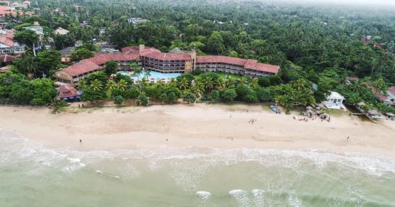 The Palms - 11