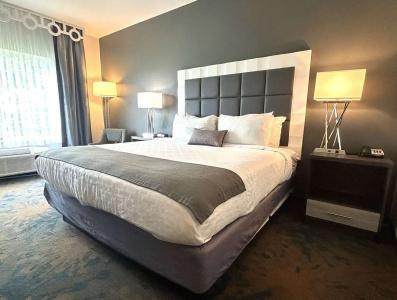 Erie Inn & Suites Solstice - 31