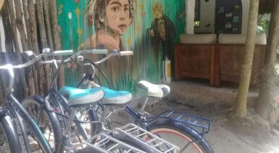 Dos Ceibas Eco Retreat Tulum - 26