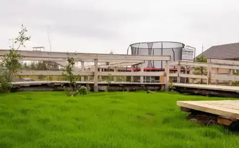 Горизонт - 6