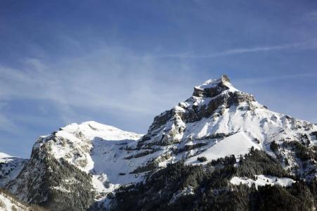 Sonnwendhof Engelberg - 4