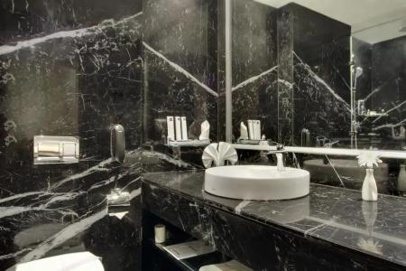 Comfort Inn Insys - 60