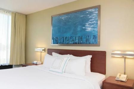 SpringHill Suites by Marriott - 45
