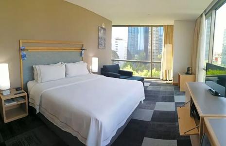 Holiday Inn Express Mexico Reforma - 63