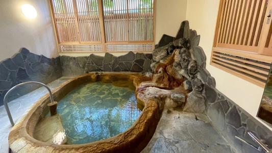 Ryokan Sennari (13 years or older) - 10