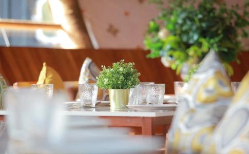 The Buffalo Amphawa - 15