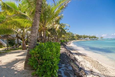 Tropical Attitude (Adults Only) - 68