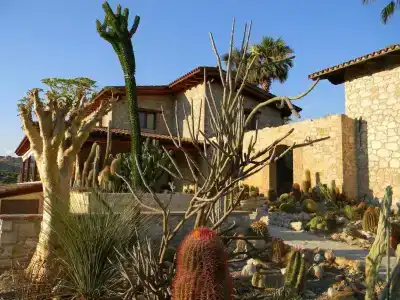 Relais Garden Cactus - 14