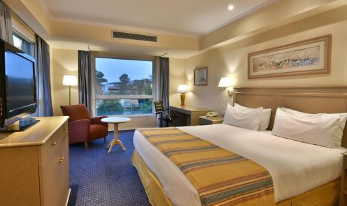 Holiday Inn Cordoba, An Ihg - 38