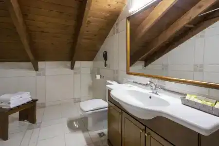 Domotel Anemolia Mountain Resort - 99