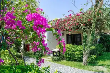 Anja Beach Resort & Spa - 233