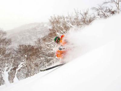 Asahidake Onsen Deer Valley - 25