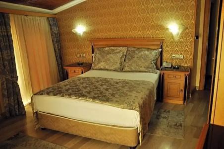 Grand Hisar - 32