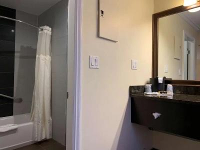Best Western Plus - 25