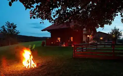 Bauernhof Wenzl - 1