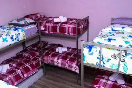 Bee Lucky Hostel and Tours - 13