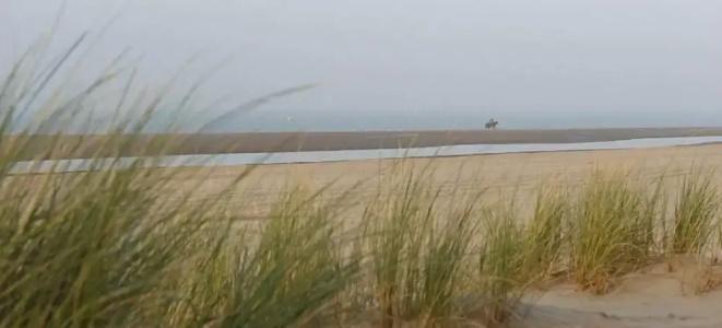 BadRenesse - 19
