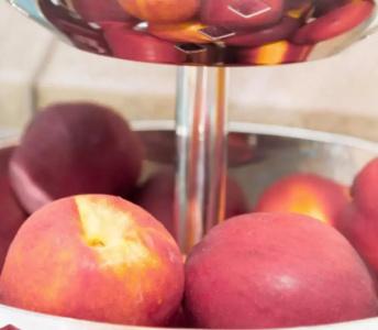 Palau City - 10