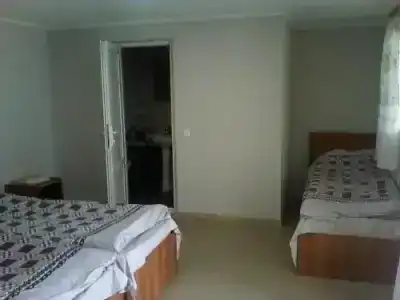 Mount Guest - 2