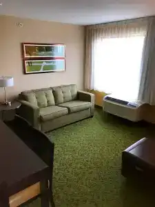 TownePlace Suites by Marriott South/Hamburg Place - 60