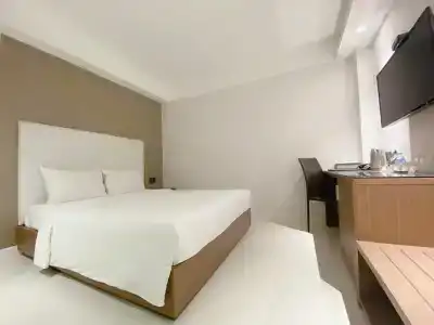 The Luxe - 10