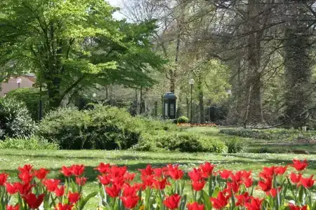 WaldBad Soden - 11