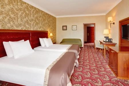 Remisens Premium Metropol - 28