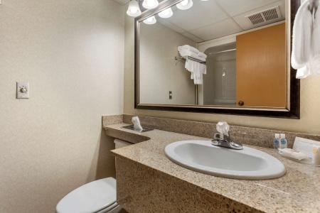 Comfort Inn at Thousand Hills - 70