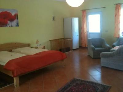 -Pension Am Mühlberg - 24