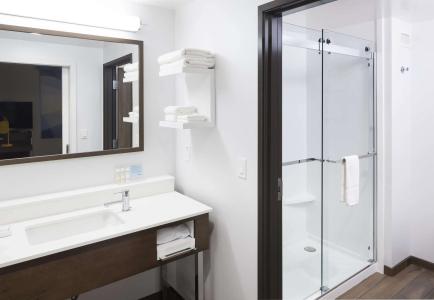 Hampton Inn & Suites Phoenix Downtown - 8