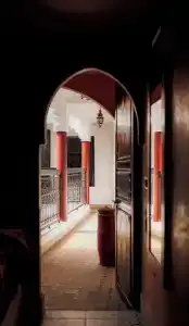 Riad Ajebel - 24