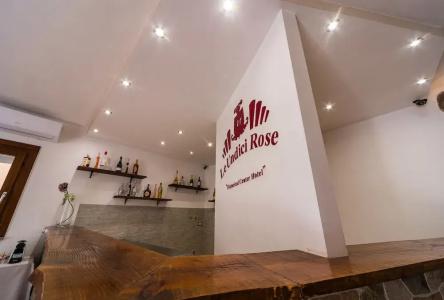 Le Undici Rose - 18