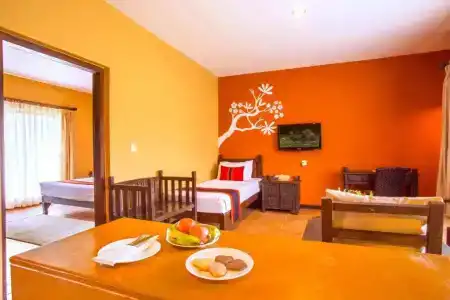 Temple Tree & Spa - 88